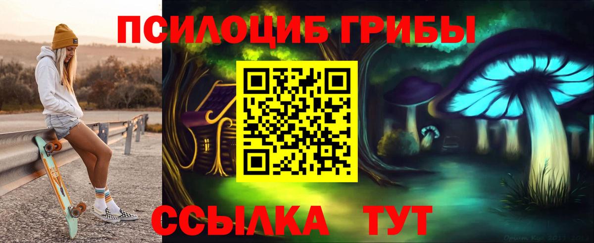 Галлюциногенные грибы Cubensis Камень-на-Оби
